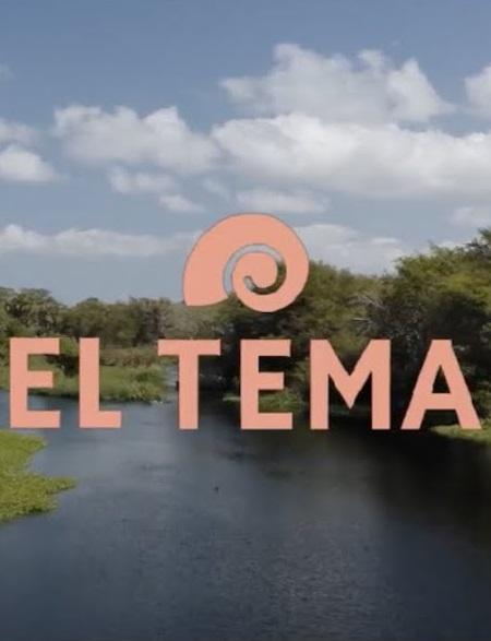 El tema (Serie de TV)