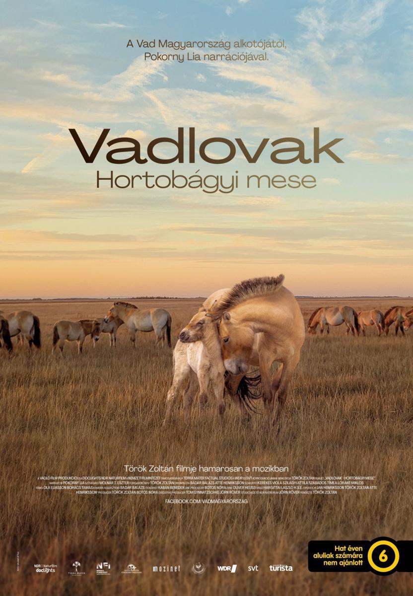 Wild Horses: A Tale from the Puszta