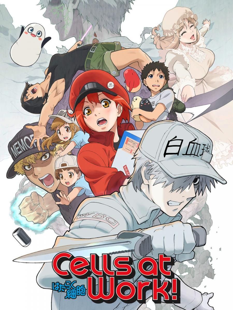 Cells at Work! (Serie de TV)