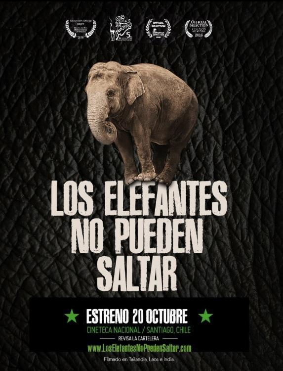 Los elefantes no pueden saltar