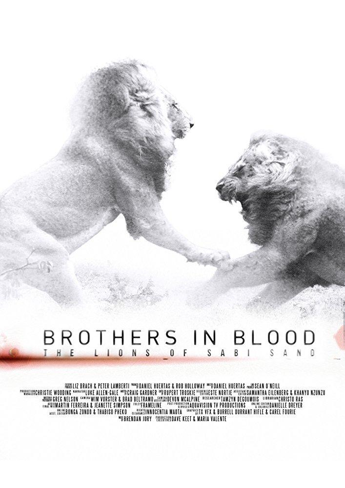 Brothers in Blood: The Lions of Sabi Sand