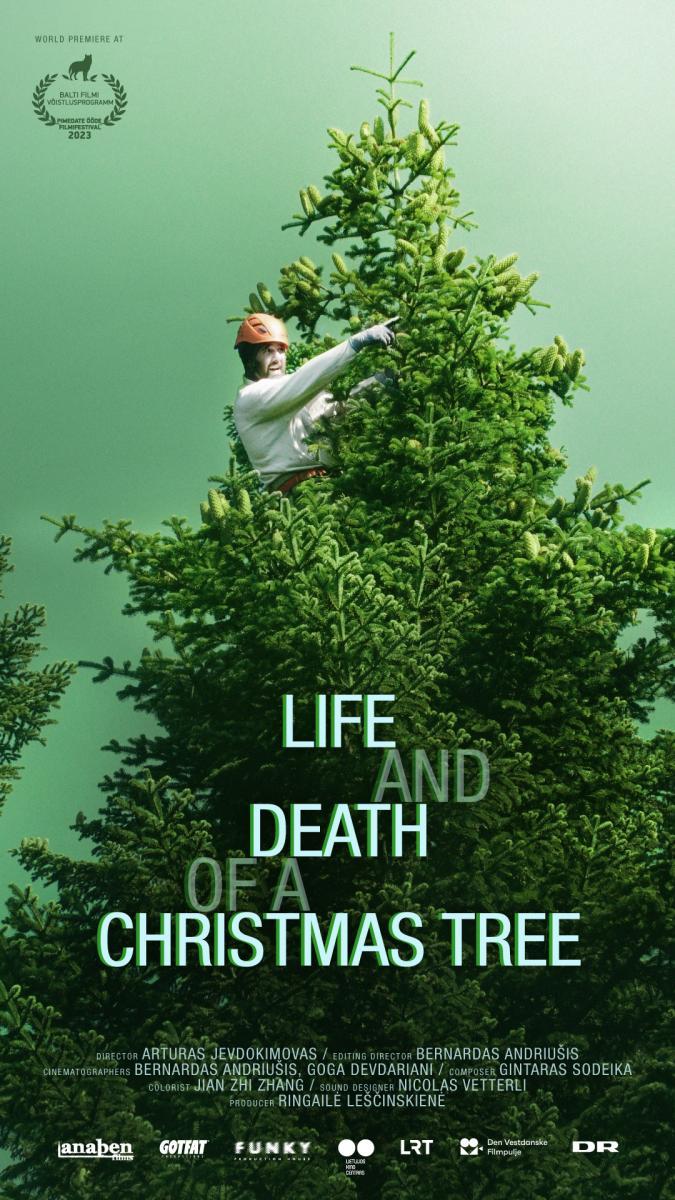 Life and Death of a Christmas Tree