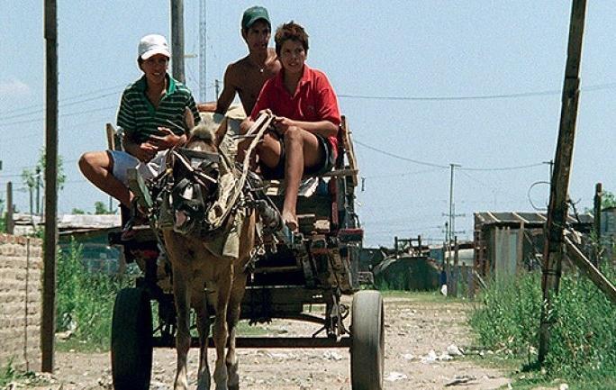 Caballos en la ciudad