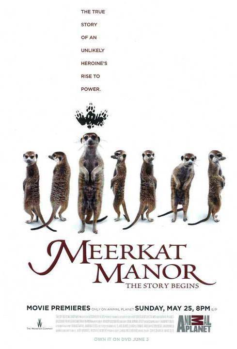 Meerkat Manor: The Story Begins