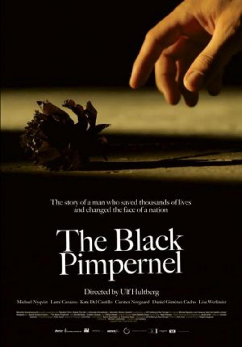 The Black Pimpernel