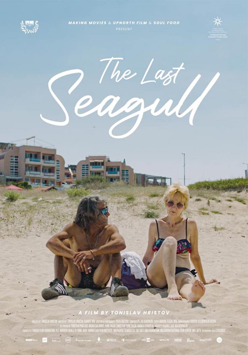 The Last Seagull