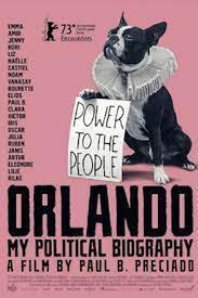 Orlando, mi biografía política