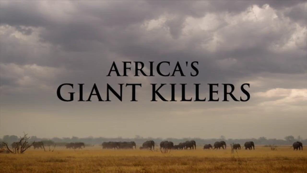 Africa's Giant Killers