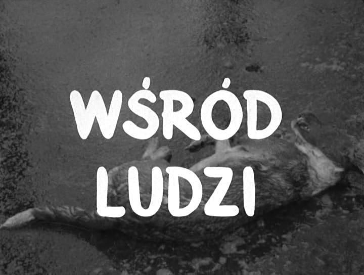 Wsród ludzi (C)