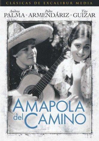 Amapola del camino