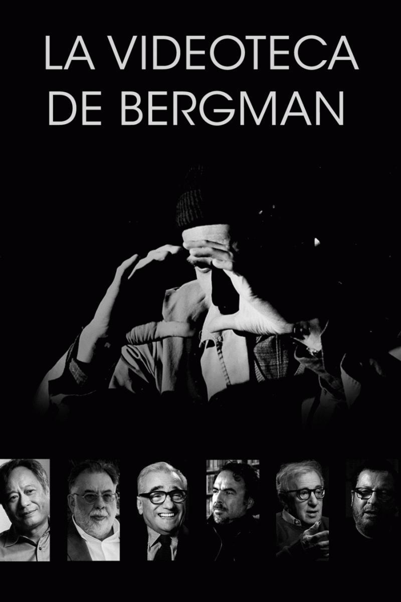 Bergman's Video (TV Series)