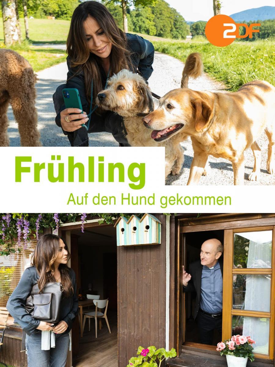 Auf den Hund gekommen (TV)