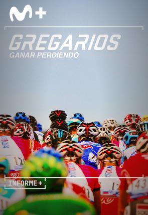 Informe+. Gregarios, ganar perdiendo (TV)