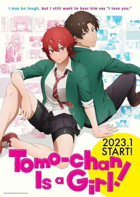 Tomo-chan Is a Girl! (Serie de TV)