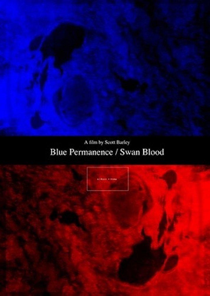 Blue Permanence/Swan Blood (S)