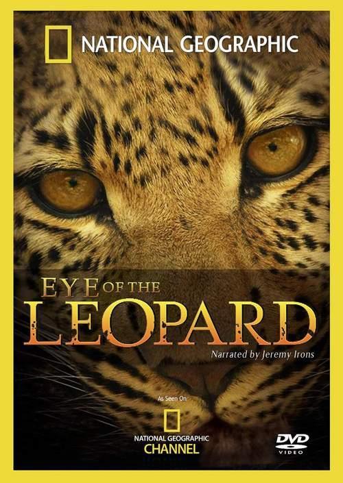 Los ojos del leopardo