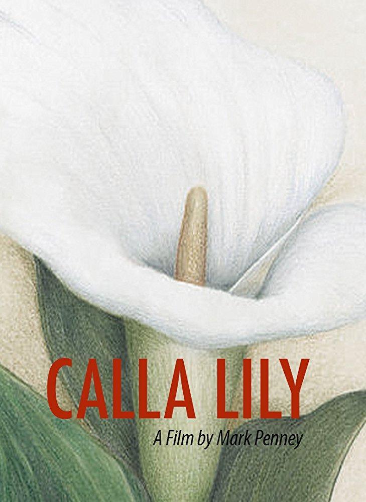 Calla Lily