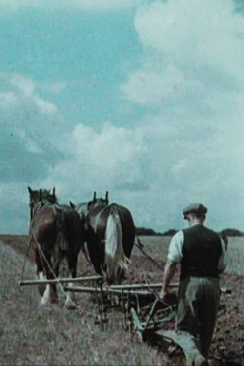 English Harvest (S)