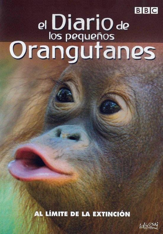 El diario de los pequeños orangutanes