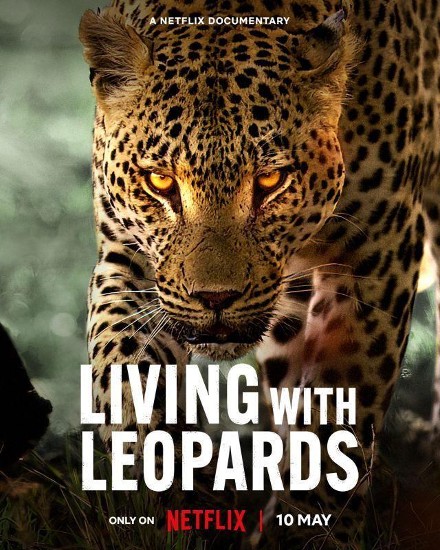 Living with Leopards