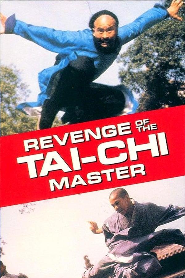 Tai-Chi master