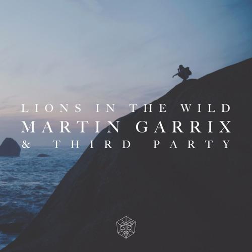 Martin Garrix & Third Party: Lions in the Wild (Vídeo musical)