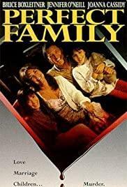 Perfect Family (TV)