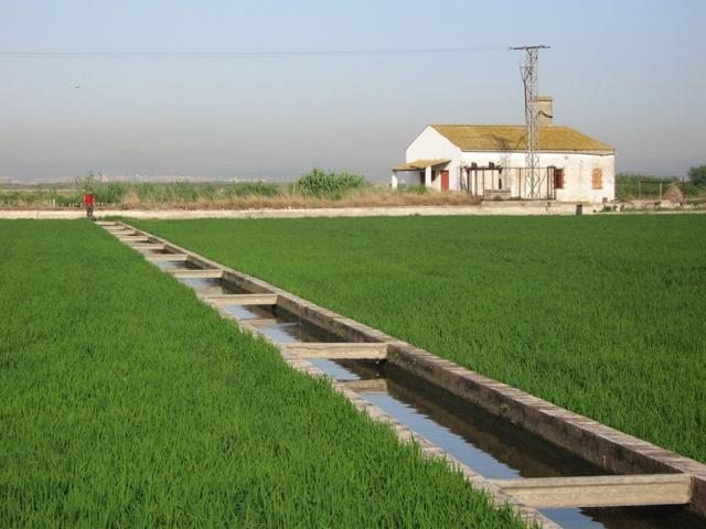 Tiempo de agua