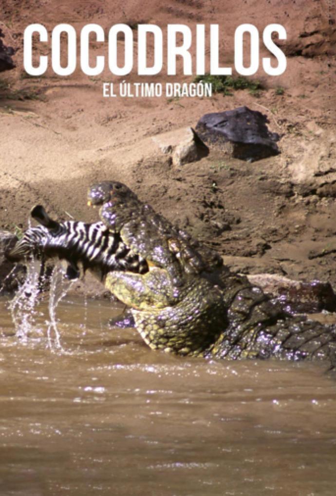 Cocodrilos, el último dragón