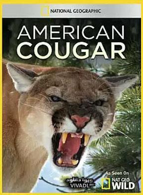 American Cougar (TV)