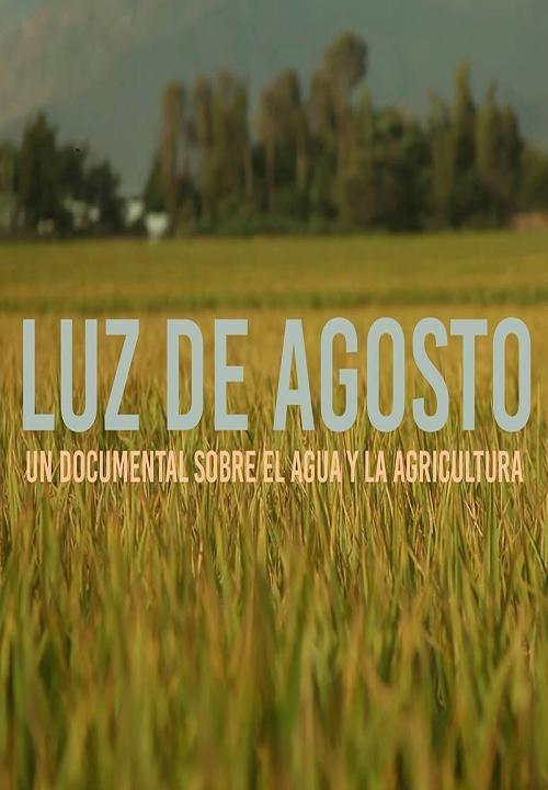 Luz de Agosto