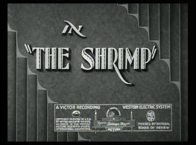 The Shrimp (C)