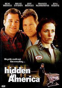 Hidden in America (TV)