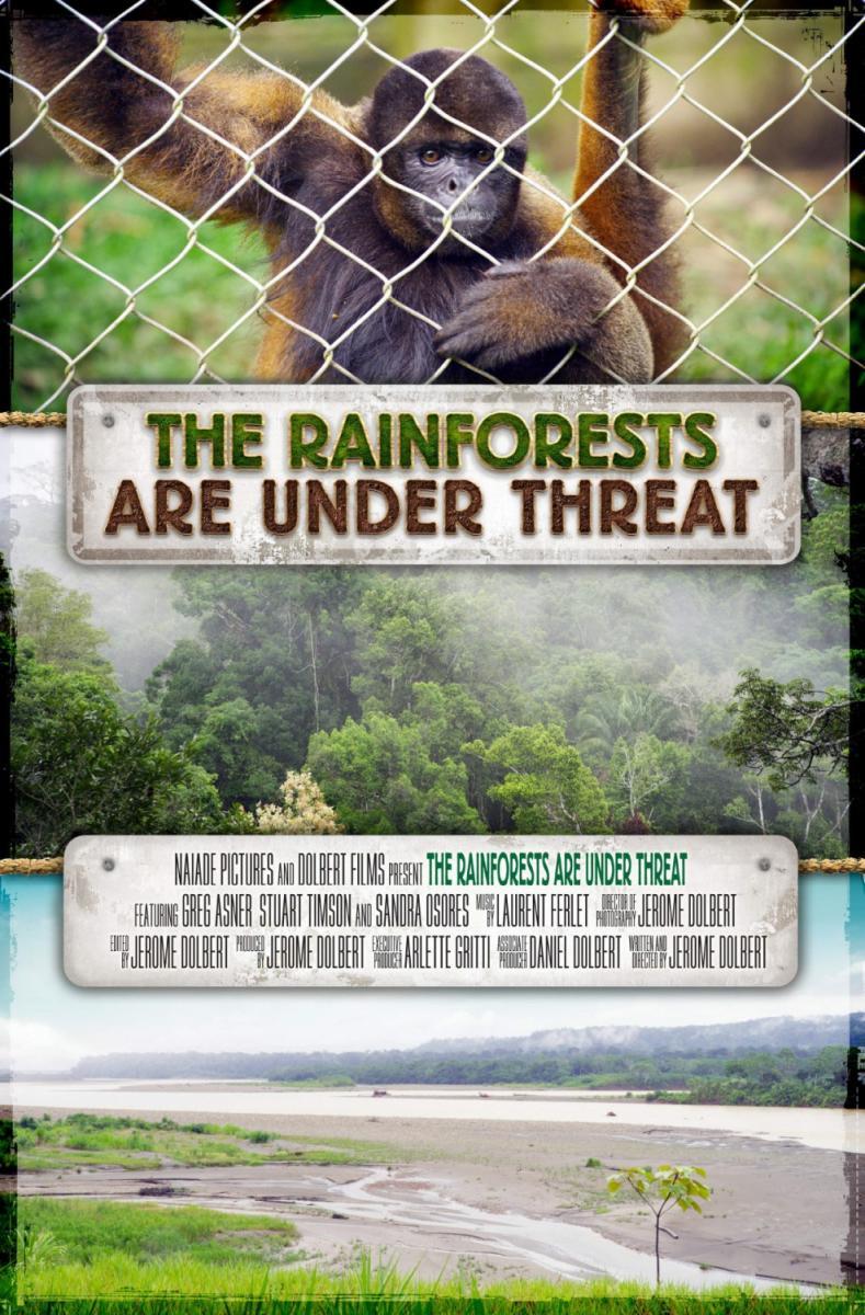 The Rainforests Are Under Threat