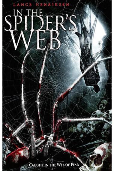 In the Spider's Web (TV)
