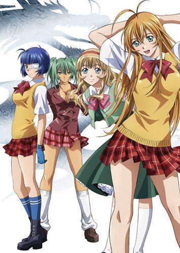 Ikki Tousen: Great Guardians (TV Series)