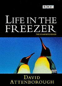 El planeta helado (La vida en la Antártida) (Miniserie de TV)
