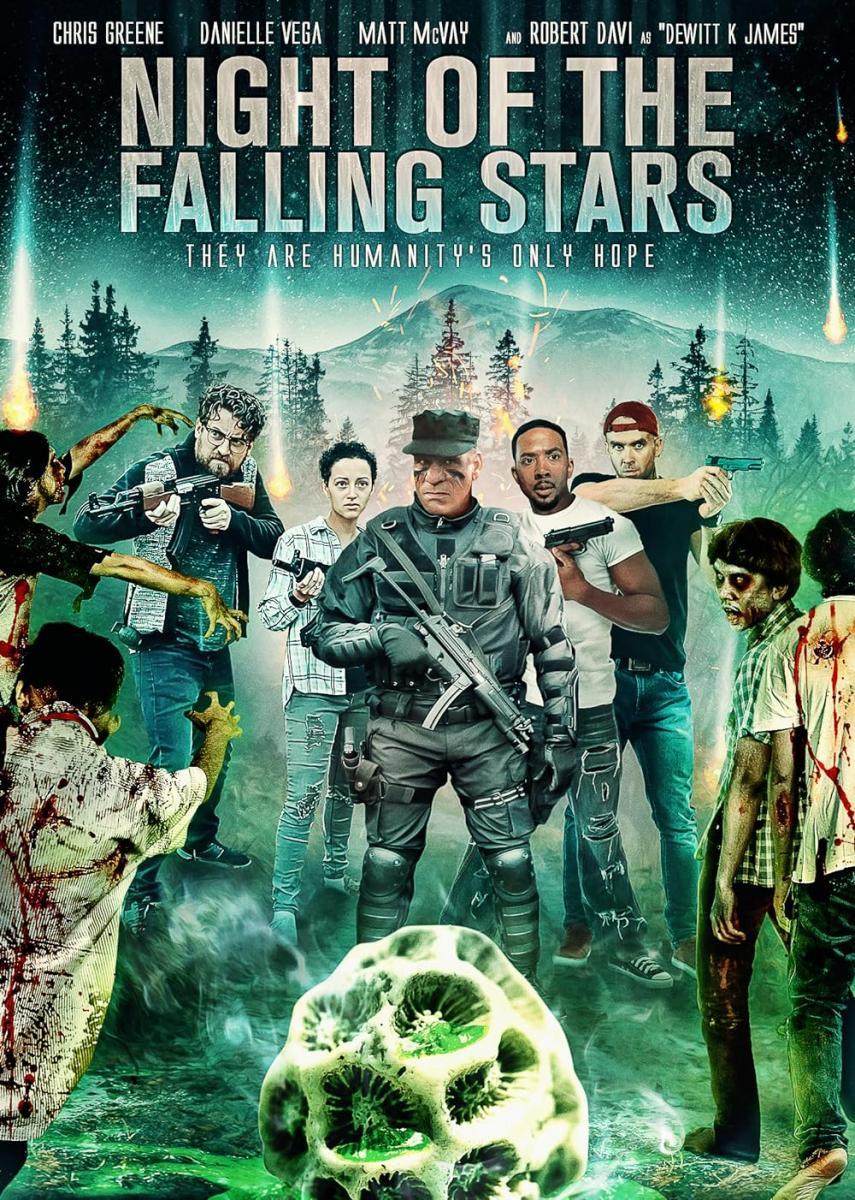 Night of the Falling Stars