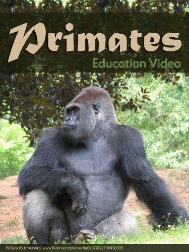 Primats (Primates)