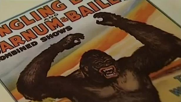 A la sombra de King Kong (TV)