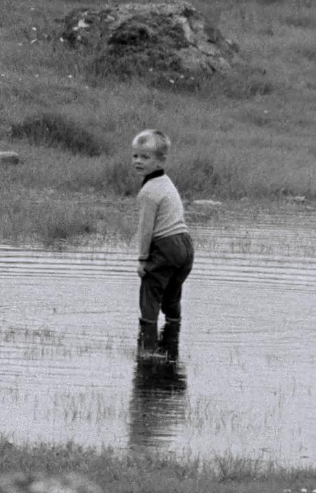 The Children of Fogo Island (C)