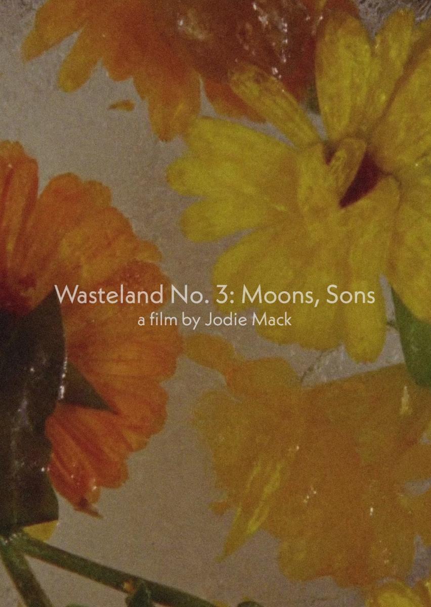 Wasteland No. 3: Moons, Sons (S)