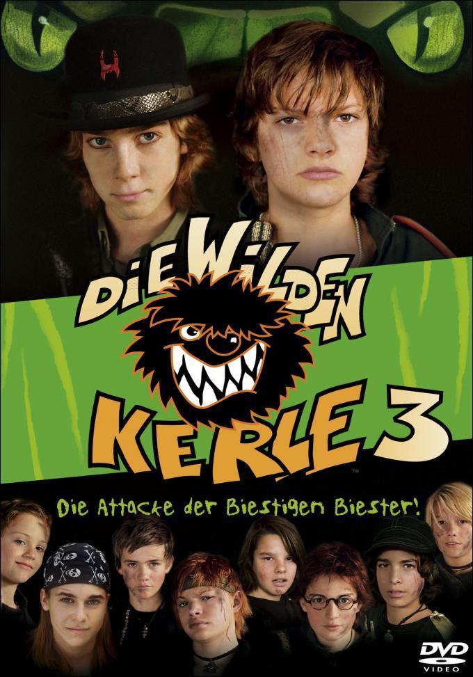 Die Wilden Kerle 3