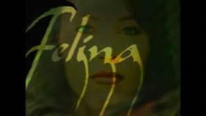 Felina (Serie de TV)