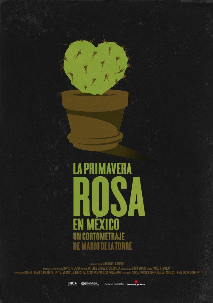 La primavera rosa en México (S)