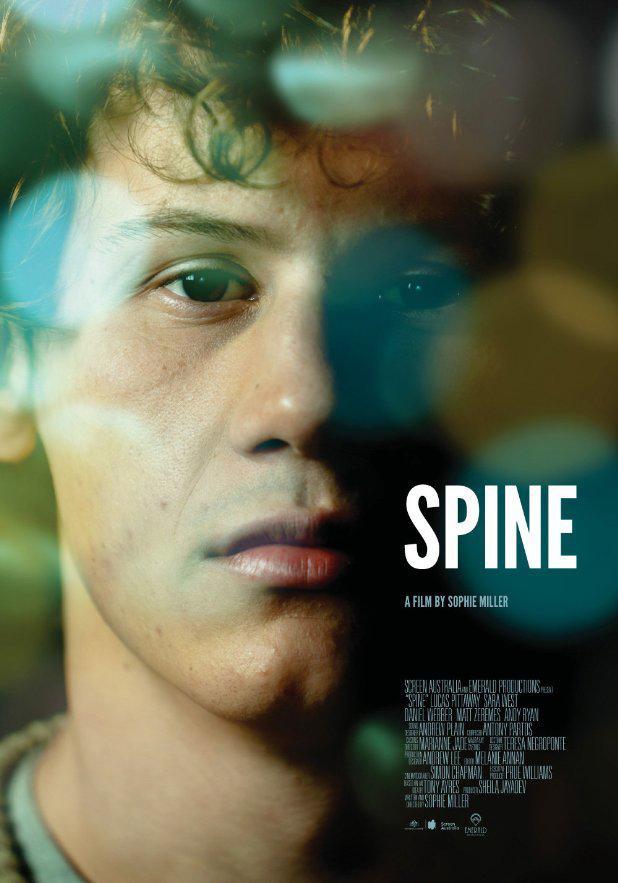 Spine (S)