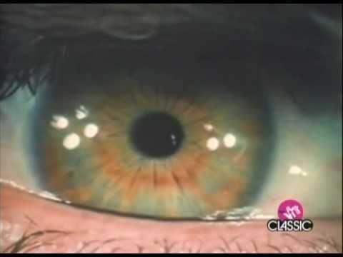 Pink Floyd: Brain Damage/Eclipse - Version 1 (Vídeo musical)