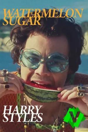 Harry Styles: Watermelon Sugar (Music Video)