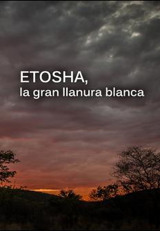 Etosha, la gran llanura blanca