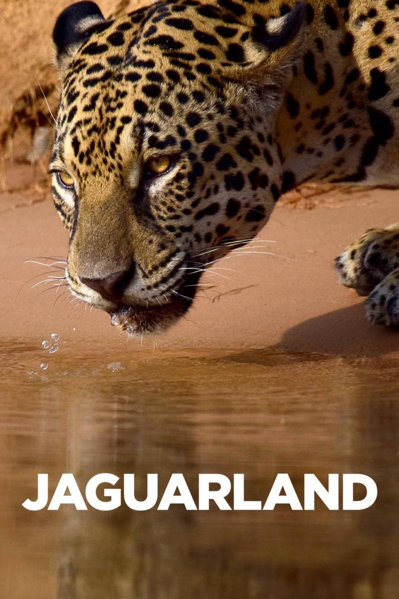 Jaguarland